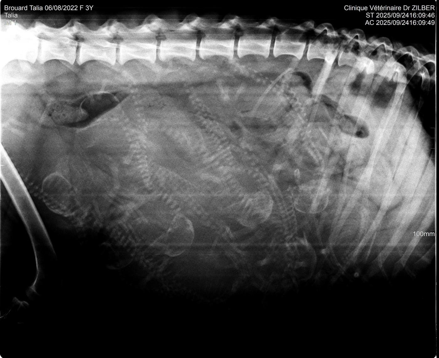 Radio du 24 septembre 2025